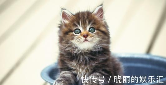 |幽默笑话:读书时候,去军训同学们都害怕站军姿,天气已经很热了