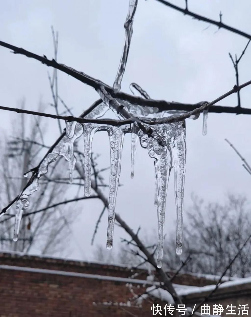 等我老了以后,找个小院陪你养花种菜!