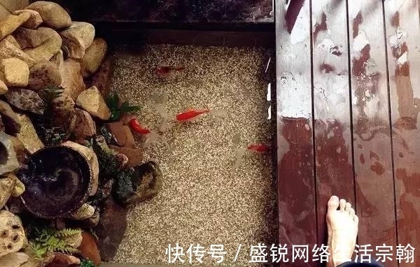 防水|老公在阳台做了个鱼池, 发到业主群里, 楼下直接找上门了!