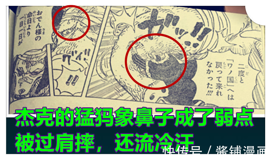 大看板|海贼王1023话,开挂的犬岚VS杰克半兽人形态,杰克被狠揍并流冷汗