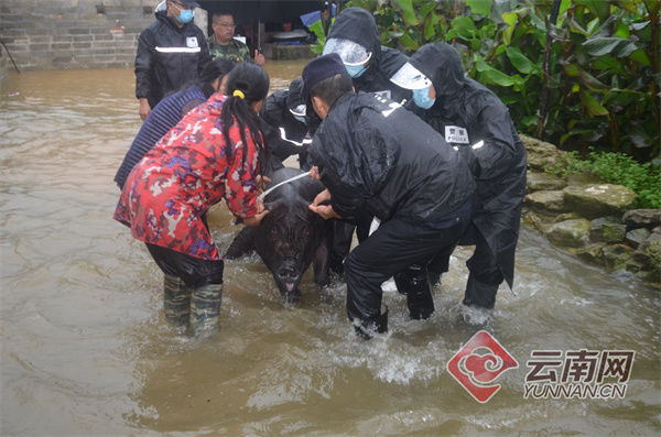 来袭|特大暴雨来袭！云南畹町边检站紧急抢险救灾