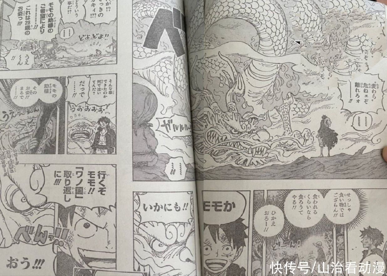 毛皮族|海贼王 1023话：猫狗又开挂，双双变身月狮状态，旱灾杰克危险了