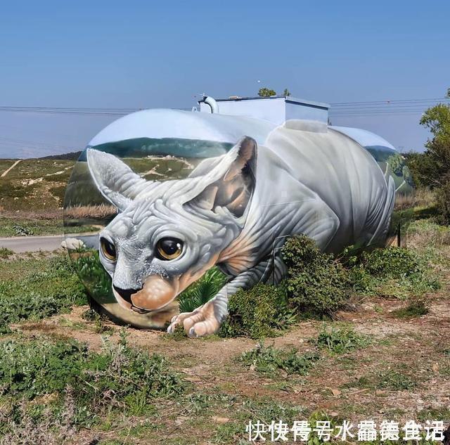 油罐@令人惊叹的3D绘画,一个油罐凭空消失了,路过的动物还以为是真的
