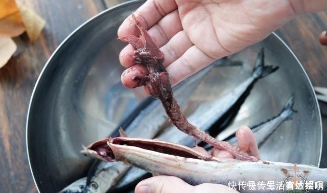 脑黄金|这鱼在日本被称为脑黄金,价格昂贵,中国便宜,很少人吃