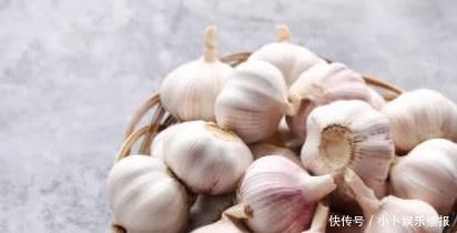 这3样“食物”发芽后,也能放心吃,别再傻傻扔掉了