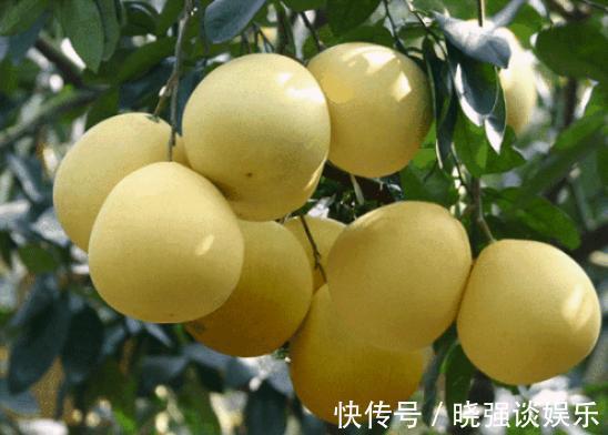 柚子|血管老化难疏通早晚吃“3种”，溶解血栓“一把手”！