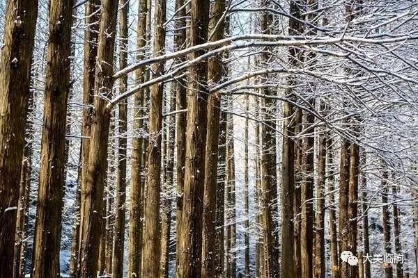 淹子岭的雪，太美了！