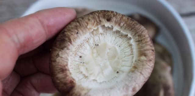 清水洗香菇，和没洗一样，教您一招，脏东西和小虫子自动溜走