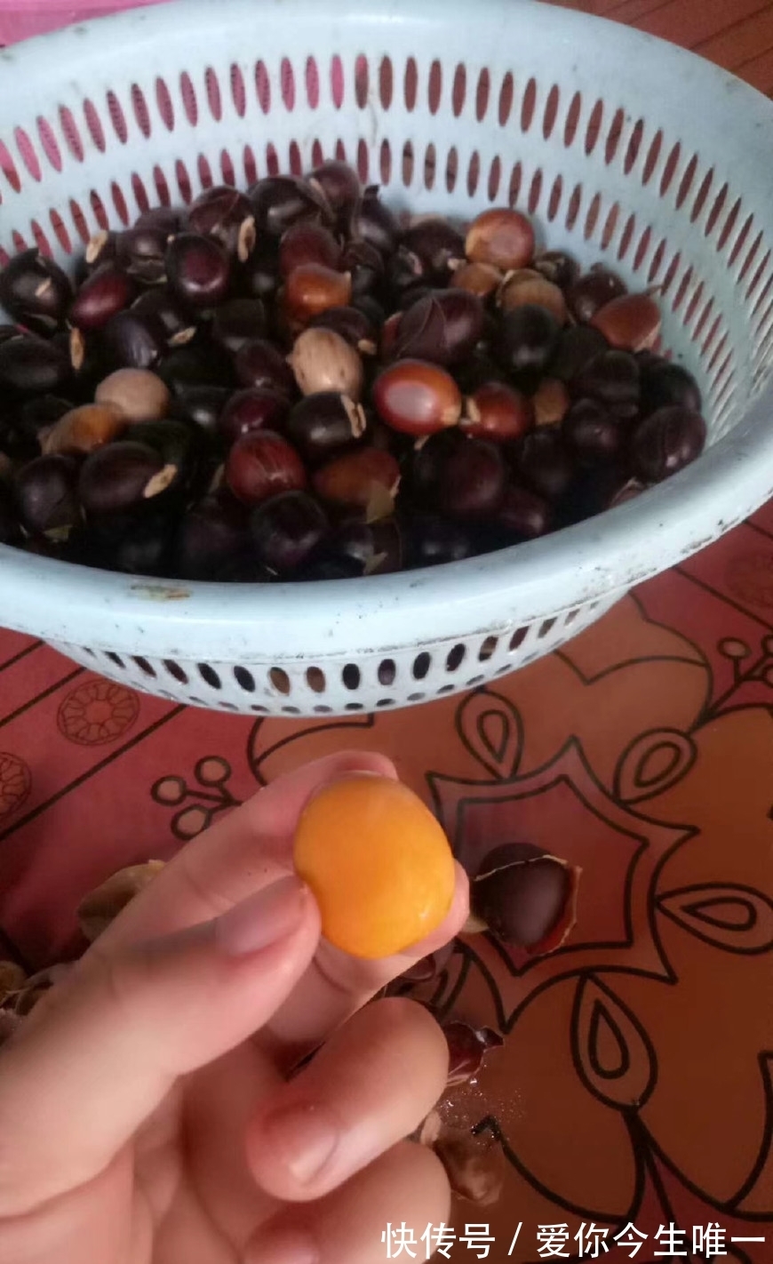 板栗|又是野果收获的季节,这些野果你认识吗?城里很少有卖的