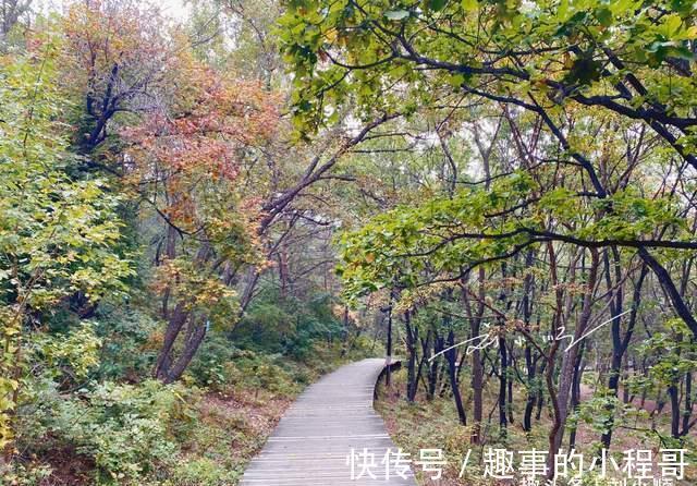 延吉市|吉林延吉的4A级景区，还是国家森林公园，免费开放却没什么游客