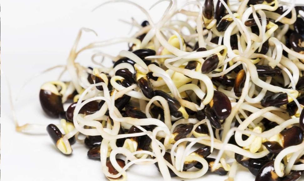 夏天必吃的最佳养生菜，强身健体、润肠通便，长寿老人说保健康！