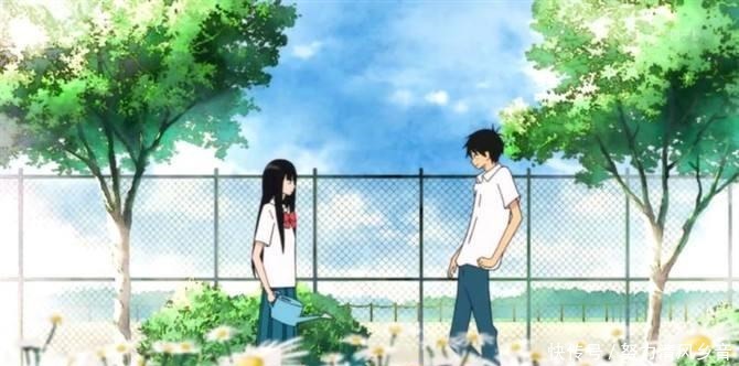 好想告诉你|求你们结婚吧!盘点动画中4对最令人着急的情侣,你喜欢哪对