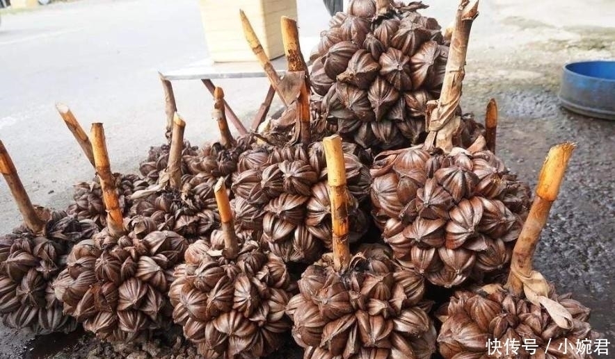 中国|这种水果在中国1斤200元,被吃的濒临灭绝,在国外却卖3斤1块钱