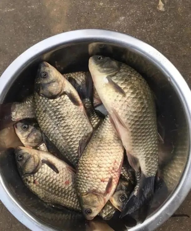 钓不到鱼是水里没鱼?这3个误区才是你十钓九空的关键,记牢了