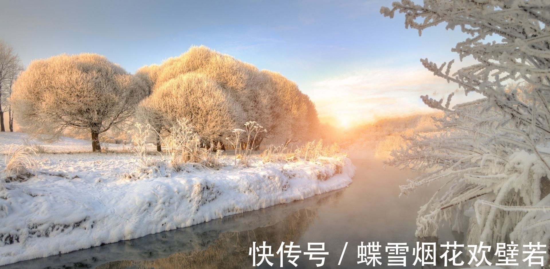 寒鸦#女词人一首七律雪景诗,青山盖雪,寒鸦雀藏,梅花凌寒吐芬芳