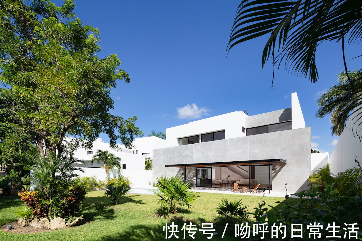 Pelic墨西哥Pelicanos之家,平衡隐私和开放空间