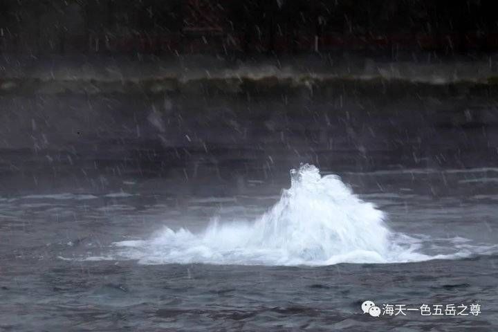 百脉泉|雪泉共舞，百脉氤氲：泉城第一场雪，百脉泉飞花穿庭，盛雪芳华