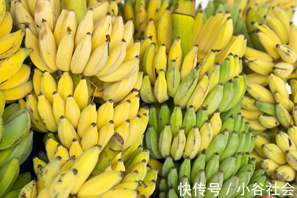 妙招|香蕉好吃却不容易保存教你一个妙招，放一周不腐烂不变黑