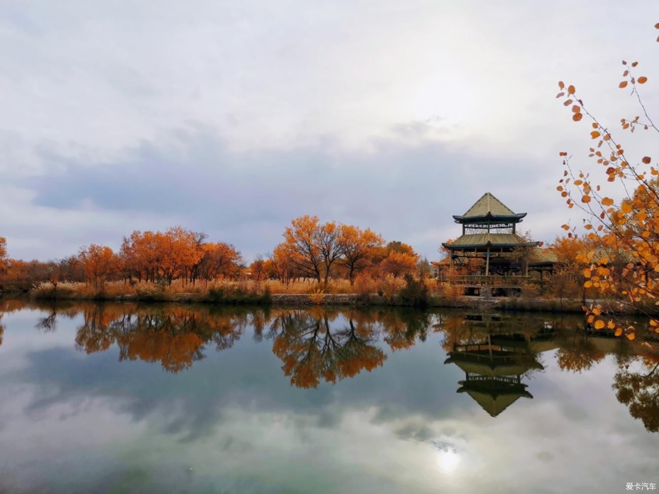 泽普金胡杨景区，金秋超级美