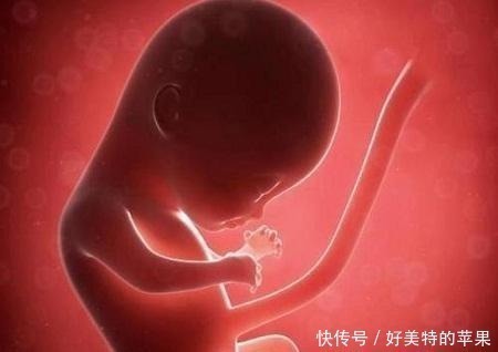 不孕不育|为什么怀孕期间会突然胎停, 不少孕妈都发生过却不知道原因