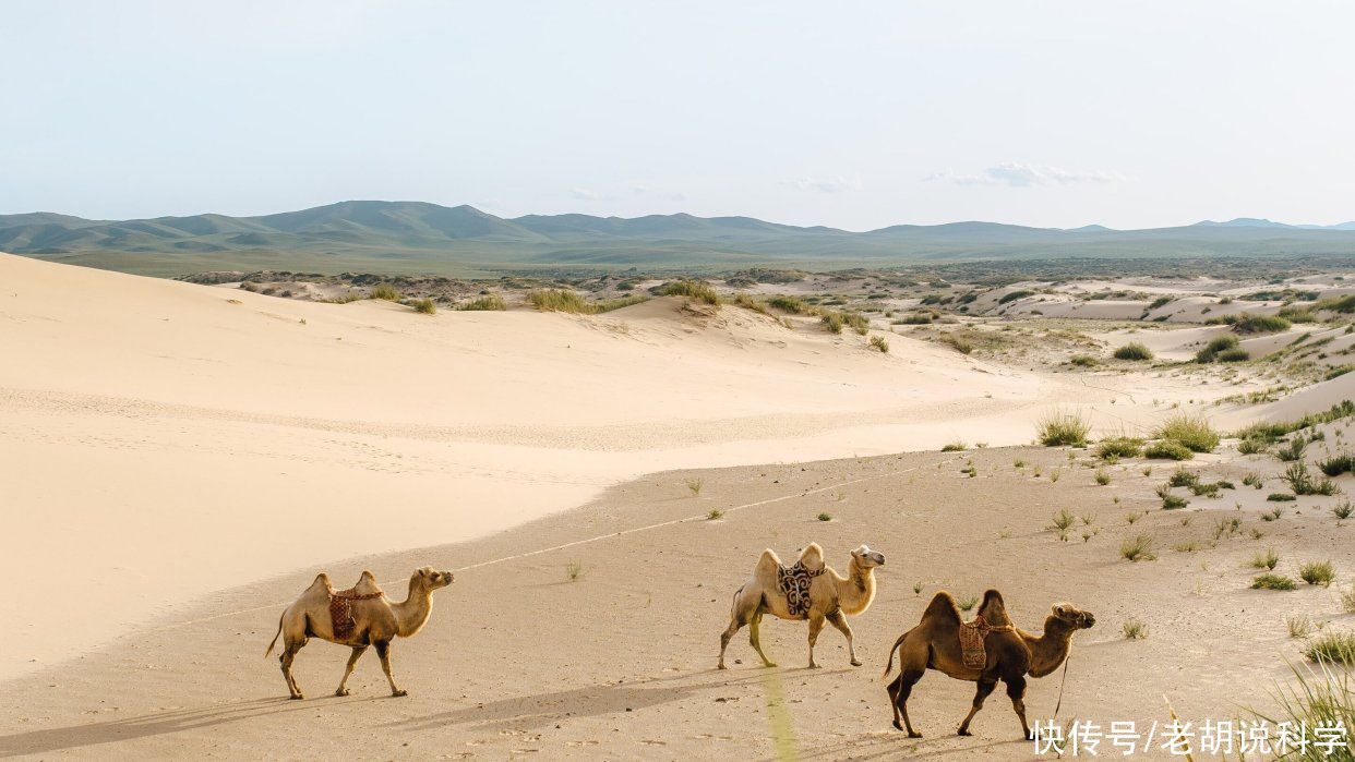 土壤 研究表明，前所未有的干旱将出现在东亚内部，且是不可逆的