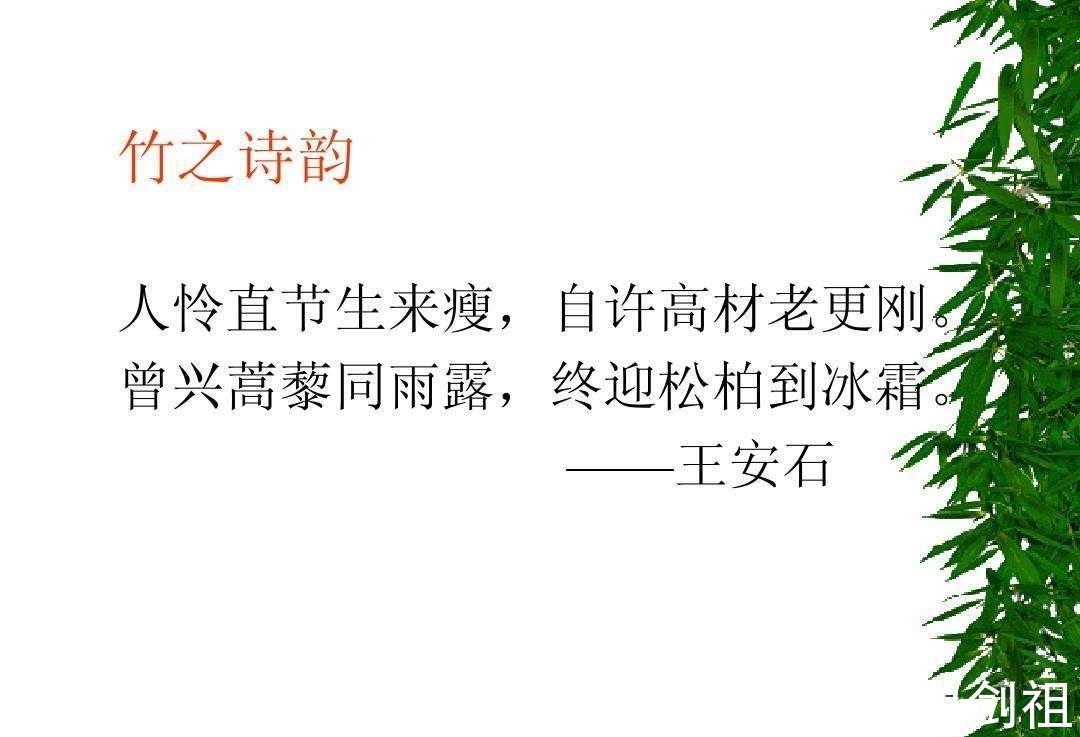 孟浩然！大诗人们的翠竹情怀，十二首著名的诗词，每一首都是经典