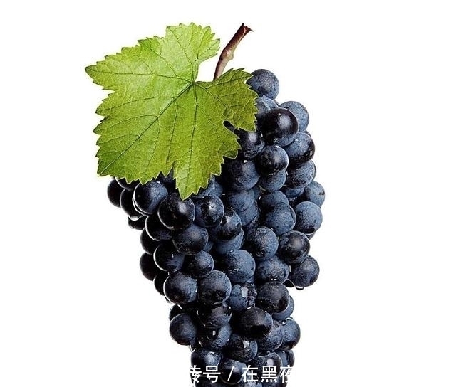 苹果|孕期常吃这三种水果，宝宝眼睛亮，头脑更聪明，你不妨试试