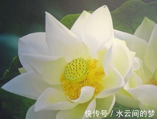 芝麻开门|7月底开始，4属相财运亨通，芝麻开门节节高，生活富足无忧