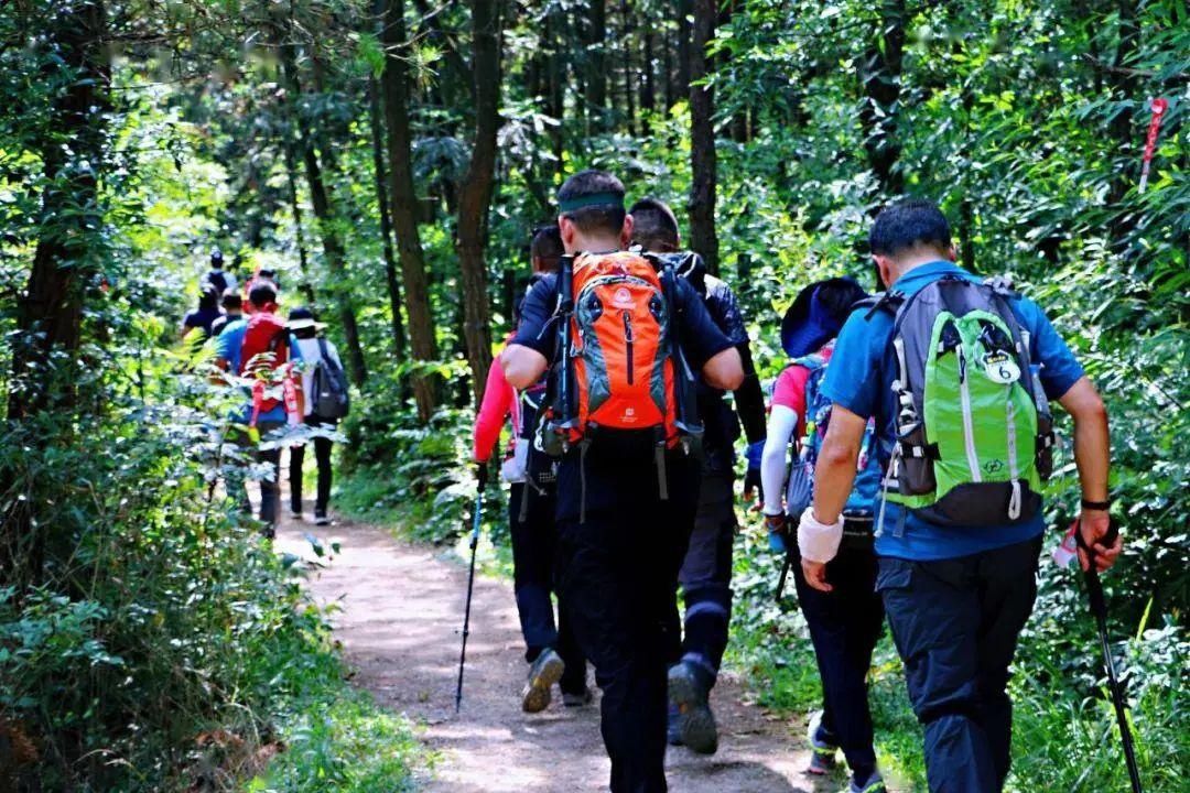 运动|处暑养生 话运动