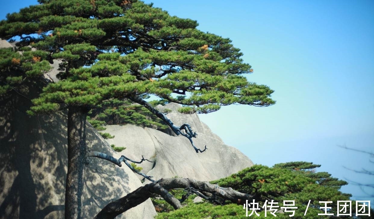 韩滉&3首冷门却精彩的唐诗,出自冷门诗人之手,多年后熠熠生光