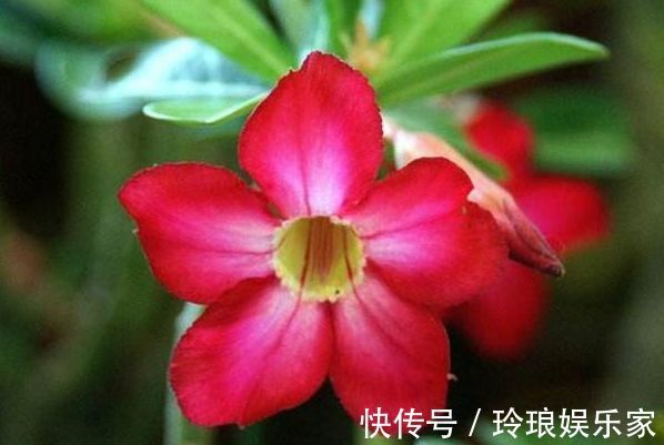 孩子|哪个时间出生的孩子都是“文曲之星”孝顺懂事,一生没有灾难!