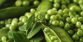 蔬菜|长期做饭的人要注意:3种蔬菜,千万要焯水,避免食物毒素