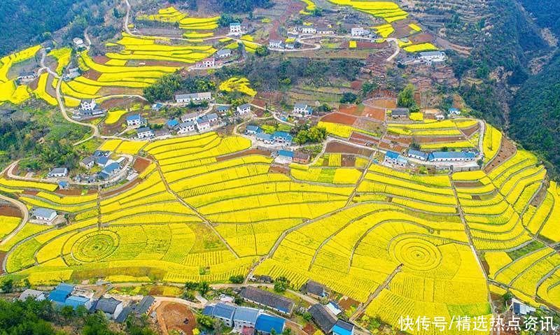 高清湖北兴山高山龙池千亩油菜花盛开 美如画卷