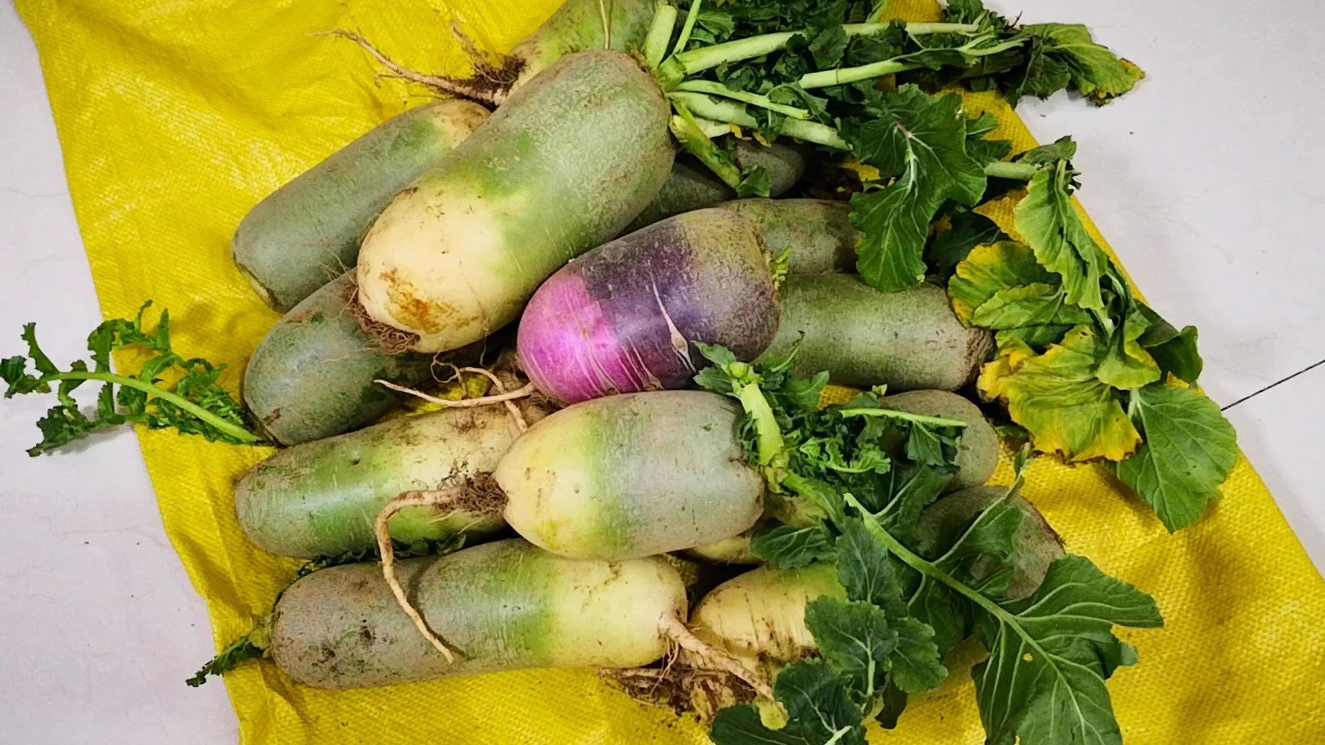 不管是保存萝卜还是白菜,学会此方法,放一冬天都新鲜,特方便