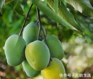 水果|端午节前后,这3种水果别吃错,有条件就多吃,美味又营养