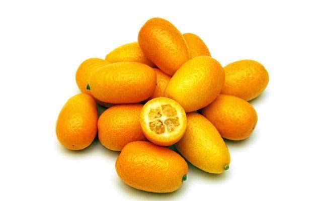 消食积|一把金桔十副药,冬季金桔配一物泡茶,营养双倍,上班族的福音