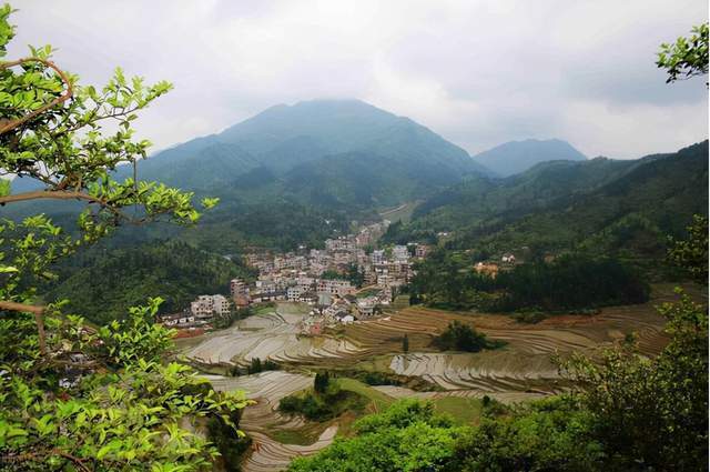 芒果新节目,再次启用台柱子汪涵,成了前行者,改变综艺三大乱象
