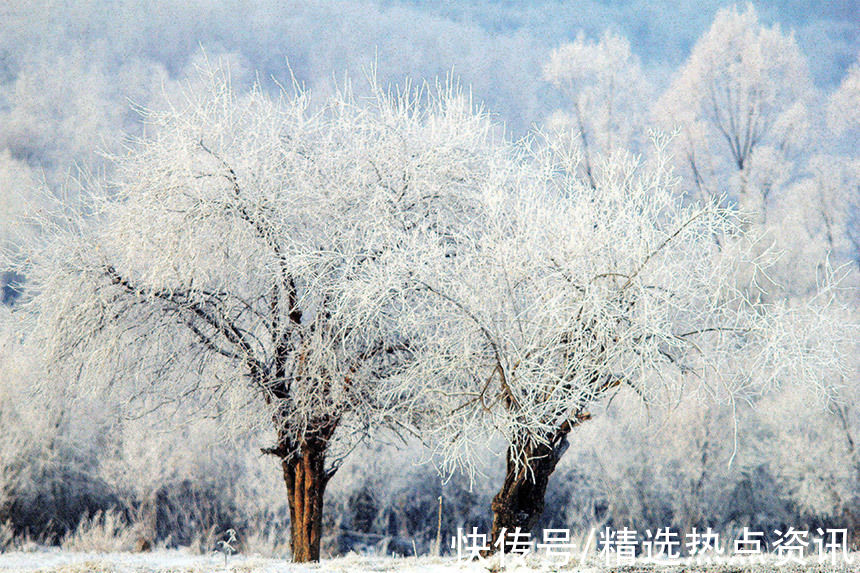 霜雪|中俄边境小城额尔古纳市迎来今年首场雾凇景观