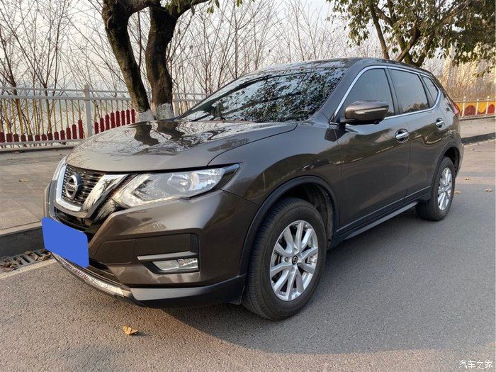 自驾奇骏观赏初春油菜花，采摘小番茄