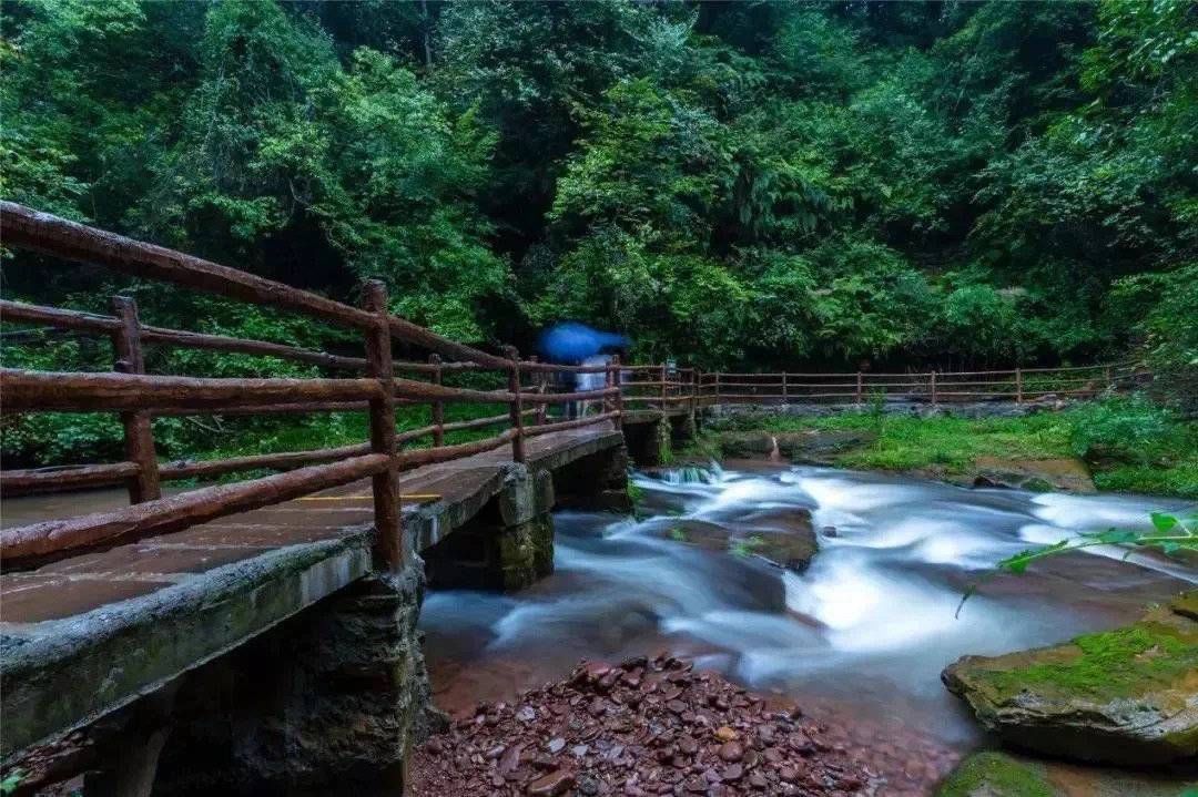 新闻记者|快来投票！四川雅安雨城区两大国家级景区强势入围“2021成渝文旅新地标”候选榜单