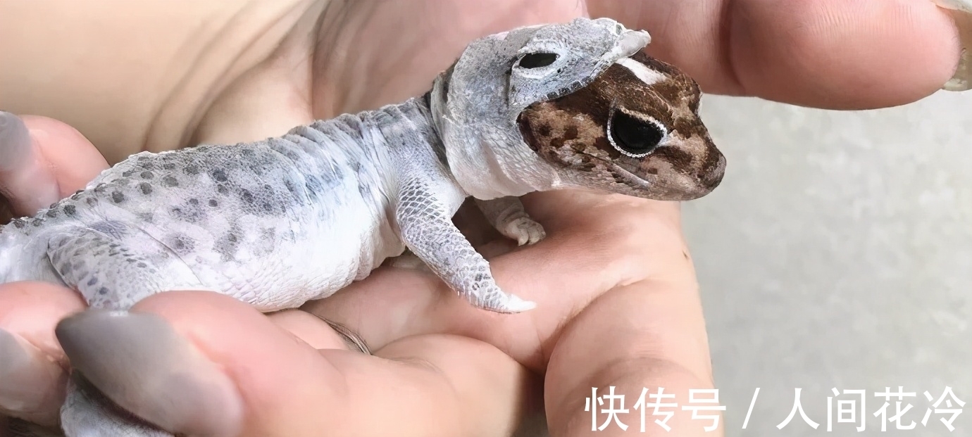东涛|趣味冷知识分享，快来一起看看吧！