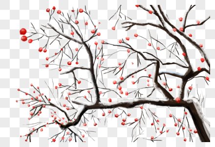 柿子树|那棵柿子树 （散文）