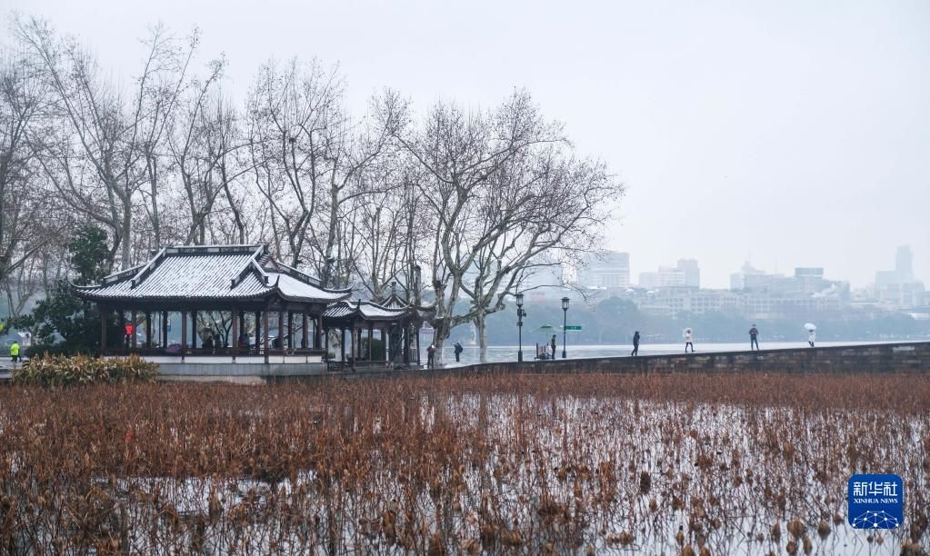 新年|杭州西湖迎来新年初雪