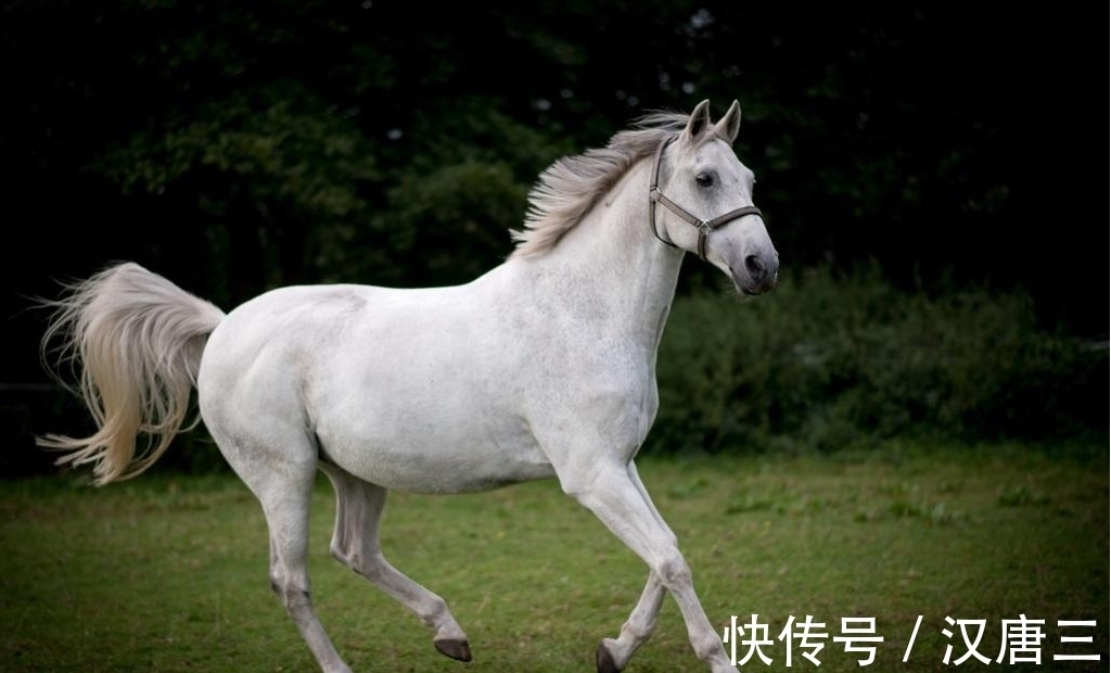 有气质|天生美貌的三生肖女，长得漂亮有气质，从不缺钱花