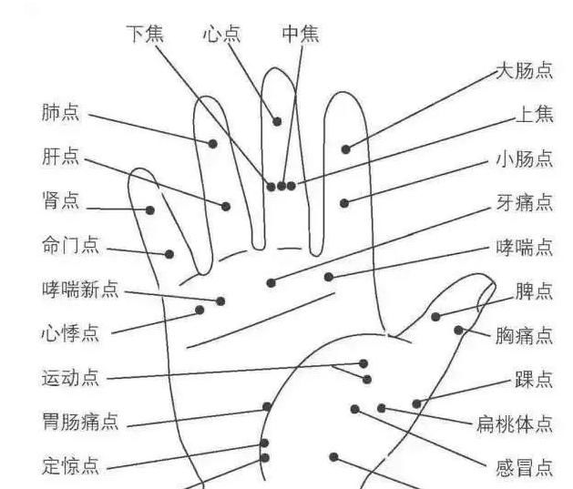  免费|40个常见病穴位按摩大全，免费送给你，百万人收藏