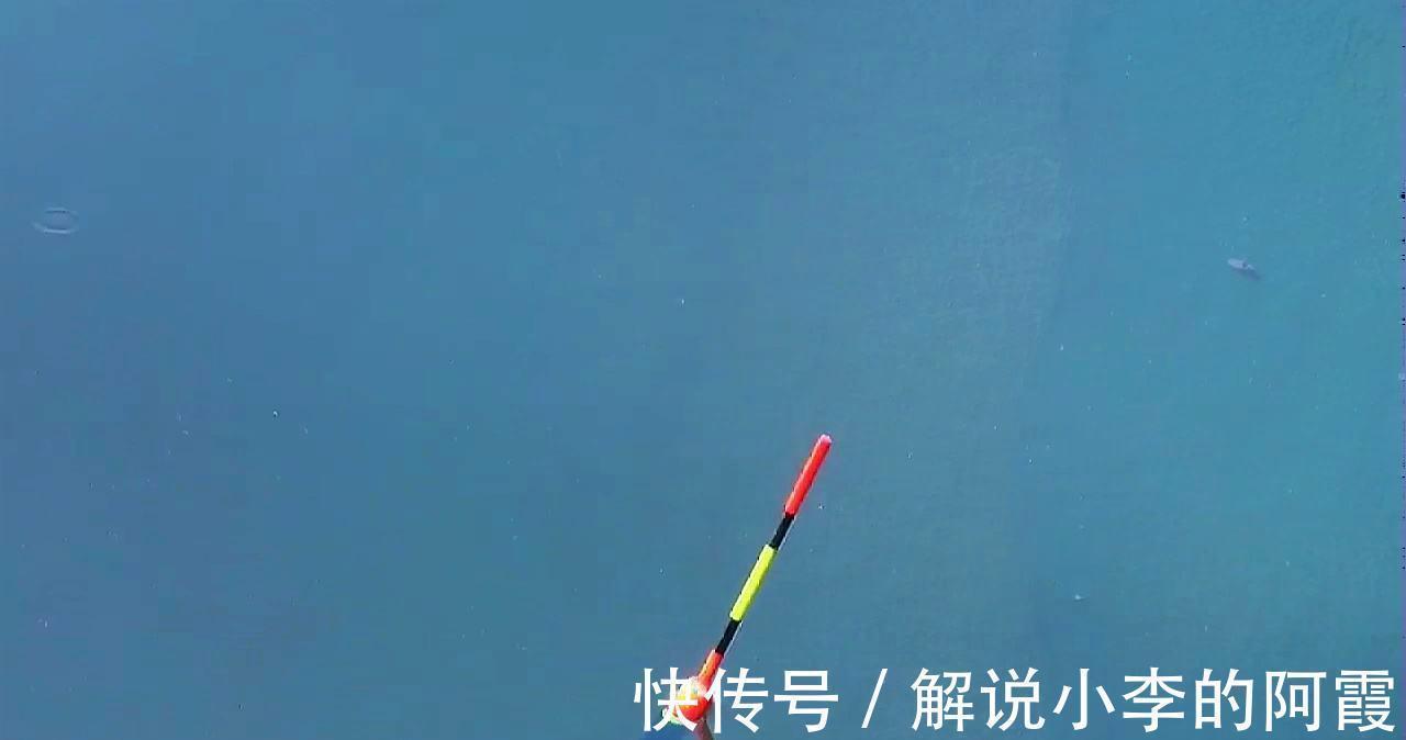 总说灵活调钓,到底怎么做,才叫做灵活调漂