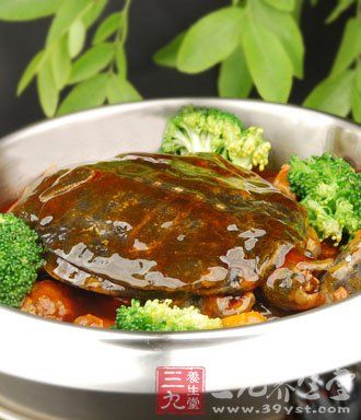 冬季補(bǔ)腎滋陰首選10款甲魚(yú)滋補(bǔ)食譜