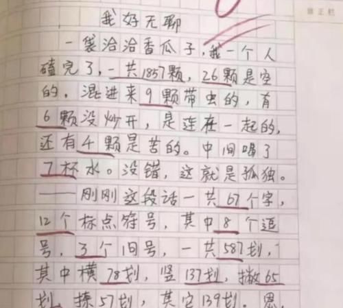 小学生作文只有9个字，老师却打了满分，没有一个字是废话