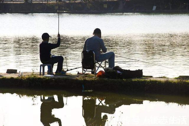 鱼儿如何寻找越冬地点,天气再冷也能爆护---皇禾钓具