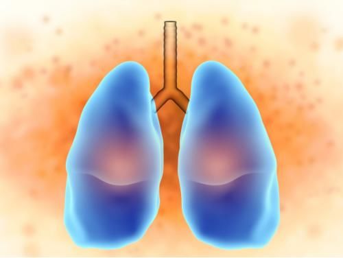 肺气肿|肺病“天敌”找到了，并非枇杷，平时敞开吃，肺毒慢慢排出，肺白净如初
